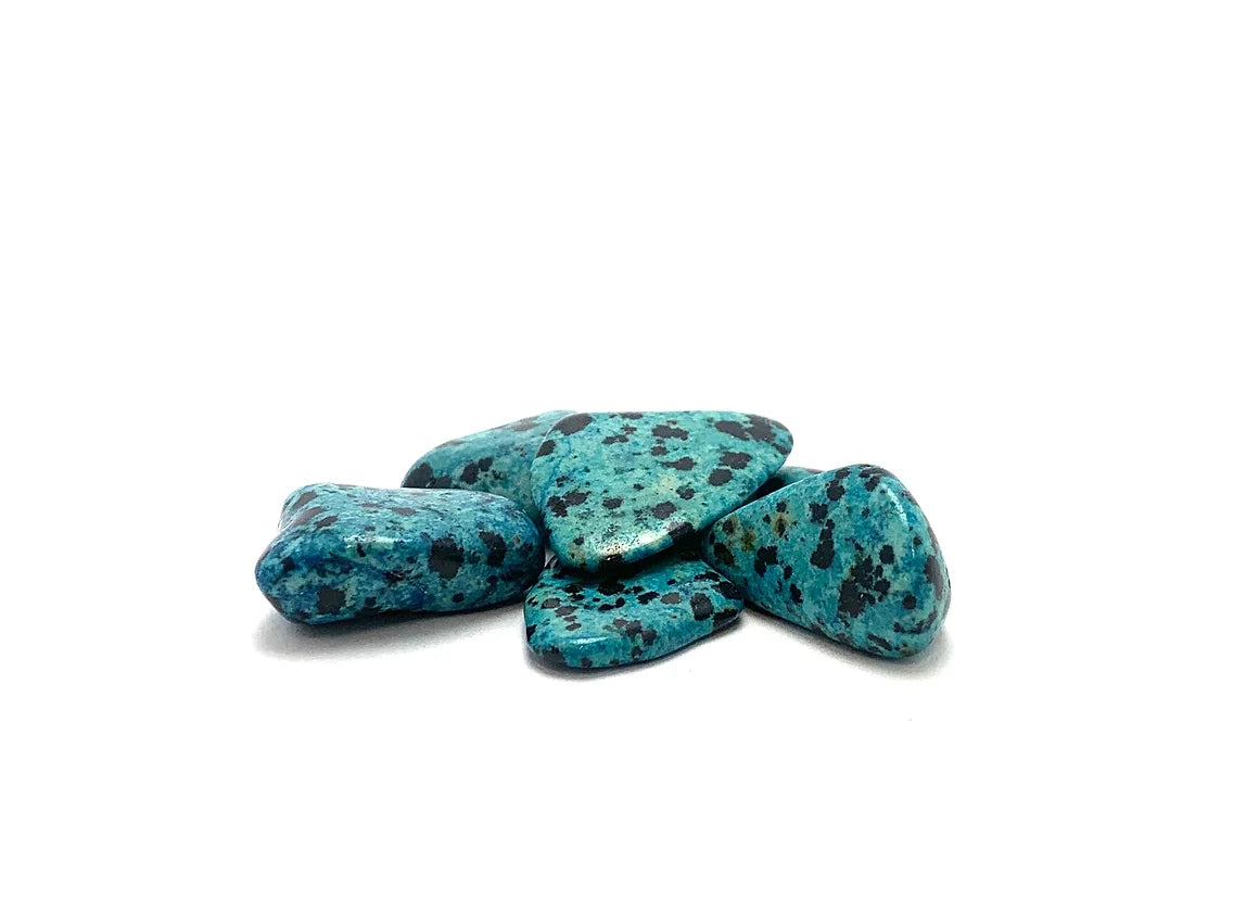 Blue Dalmatian Stone