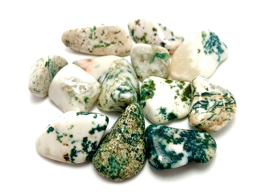 Tree Agate